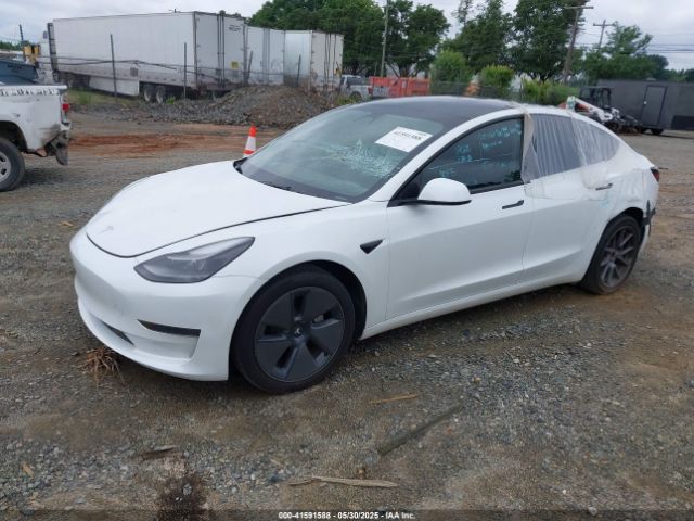 2023 TESLA MODEL 3 5YJ3E1EA1PF545223 Photo 1