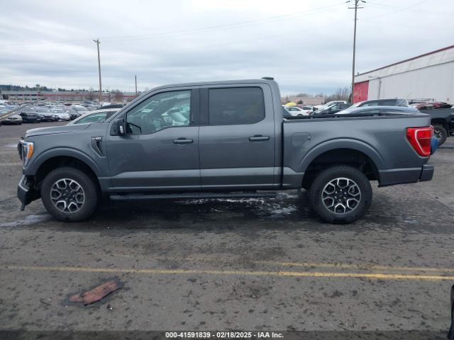 1FTEW1EP3PKE54662 Ford F-150 Xlt
