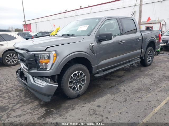 1FTEW1EP3PKE54662 Ford F-150 Xlt
