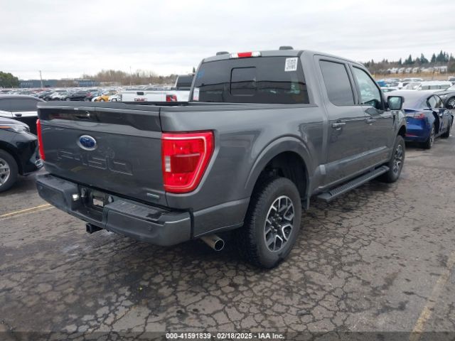 1FTEW1EP3PKE54662 Ford F-150 Xlt