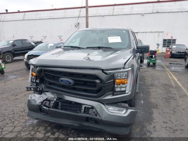 1FTEW1EP3PKE54662 Ford F-150 Xlt