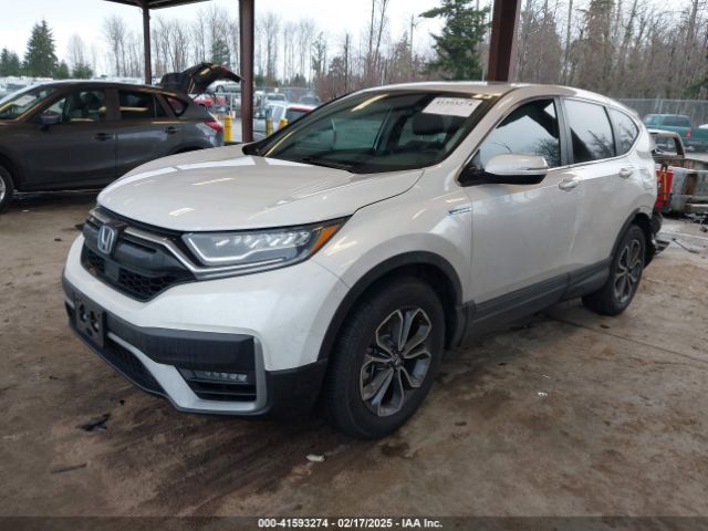 2022 HONDA CR-V 5J6RT6H83NL049818 Photo 1