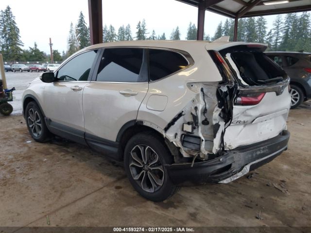 2022 HONDA CR-V 5J6RT6H83NL049818 Photo 2
