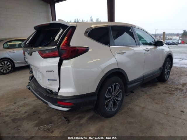 2022 HONDA CR-V 5J6RT6H83NL049818 Photo 3