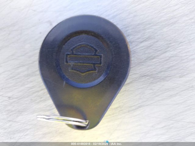 2018 HARLEY-DAVIDSON FLHRXS 1HD1KVC19JB658789 Photo 10