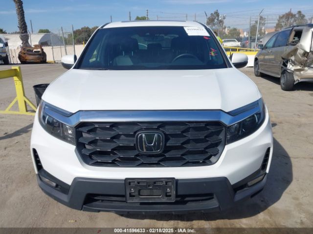 5FNYF8H54NB016419 Honda Passport Awd Ex-l