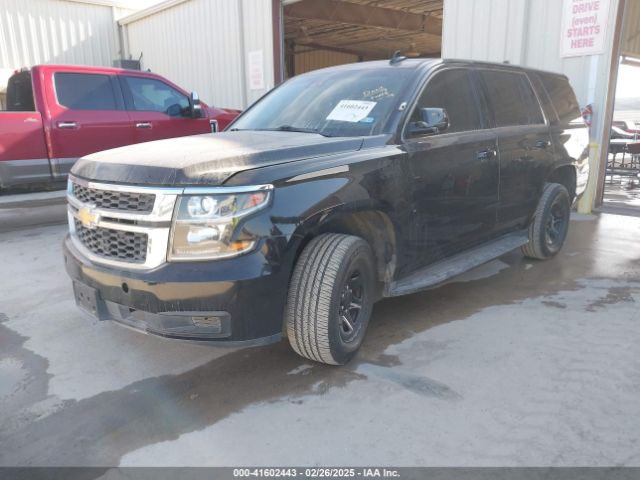 1GNSKDEC8JR351269 Chevrolet Tahoe Commercial Fleet