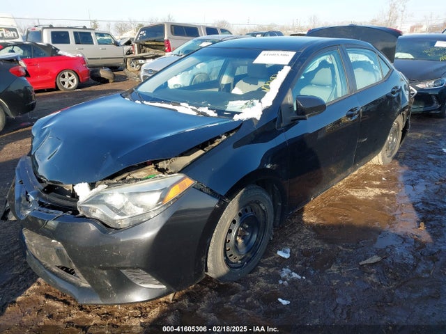 2T1BURHE4GC568365 Toyota COROLLA LE