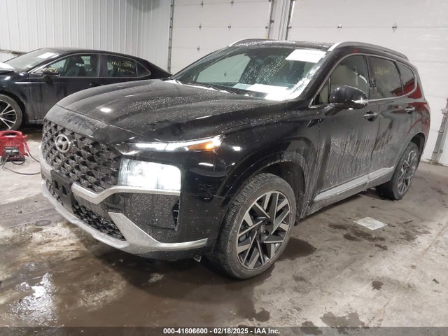 Hyundai Santa Fe Calligraphy 2023 5NMS5DAL4PH521601 Image 2