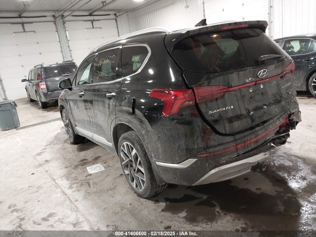 Hyundai Santa Fe Calligraphy 2023 5NMS5DAL4PH521601 Image 3