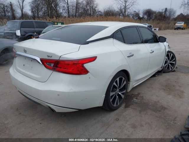 1N4AA6AP3JC365813 Nissan Maxima 3.5 Sv