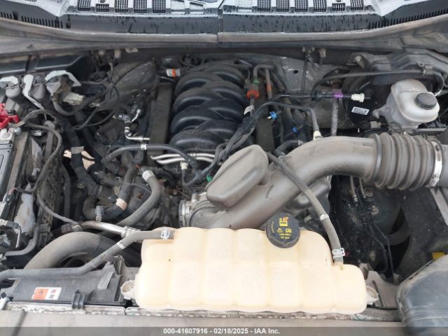 1FTEW1E56KKC02038 Ford F-150 Xlt