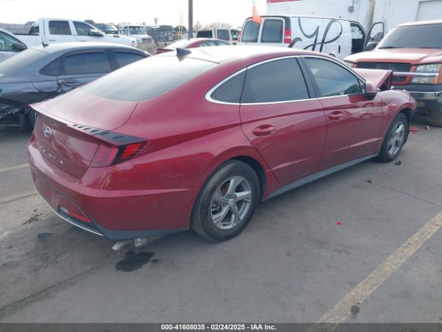 KMHL24JA1PA312897 Hyundai SONATA SE