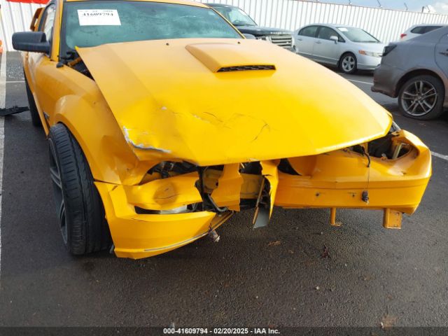 2007 FORD MUSTANG 1ZVFT82H175334728 Photo 5