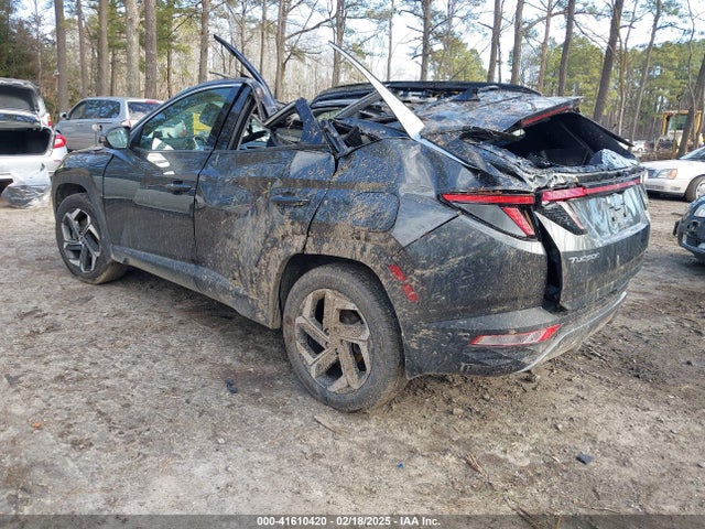 Hyundai Tucson Limited 2023 5NMJECAE4PH192308 Image 3
