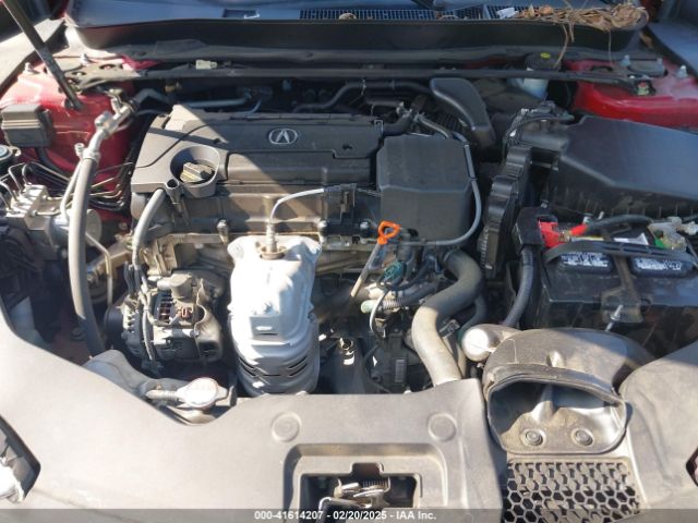 19UUB1F36KA007116 Acura Tlx Standard