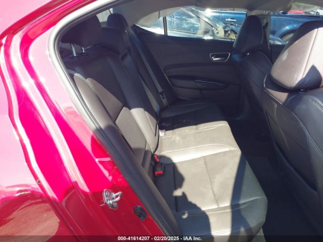 19UUB1F36KA007116 Acura Tlx Standard