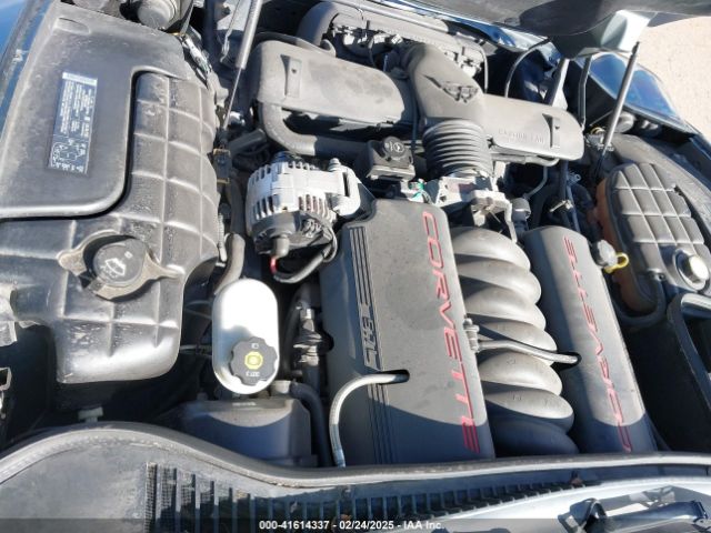 2004 CHEVROLET CORVETTE 1G1YY22G445114652 Photo 9