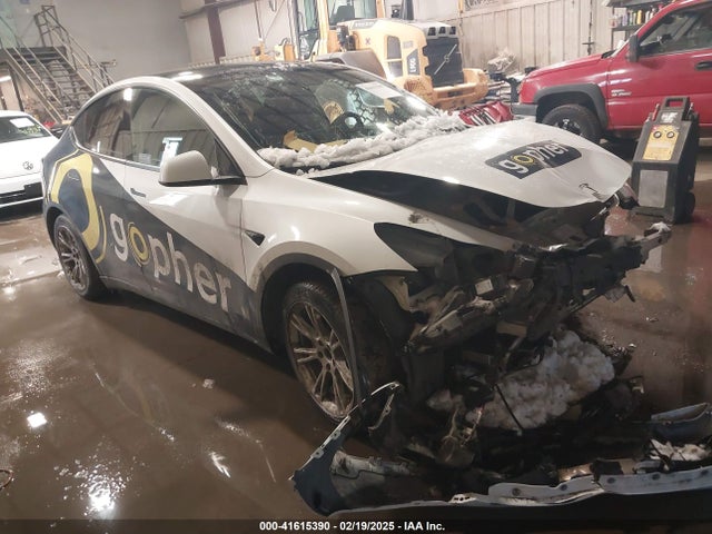 2023 TESLA MODEL Y 7SAYGAEE0PF769234 Photo 0