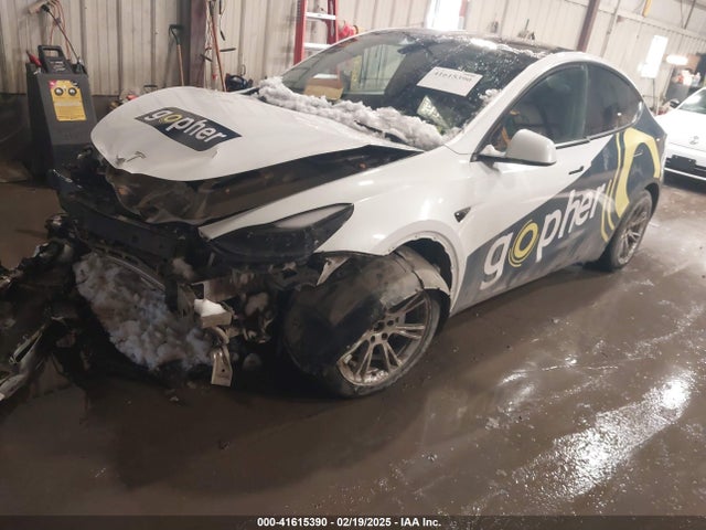 2023 TESLA MODEL Y 7SAYGAEE0PF769234 Photo 1