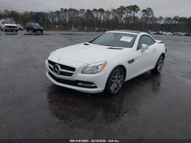WDDPK3JA5GF125784 Mercedes-Benz Slk 300
