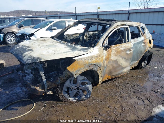 Hyundai Tucson Limited 2017 KM8J33A28HU322835 Image 2