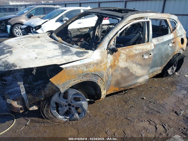 Hyundai Tucson Limited 2017 KM8J33A28HU322835 Image 6