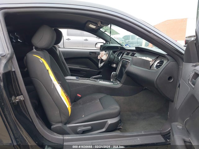 1ZVBP8AM2E5298949 Ford Mustang