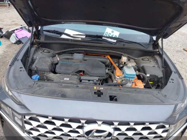 KM8S2DA13MU013627 Hyundai Santa Fe Hybrid Blue