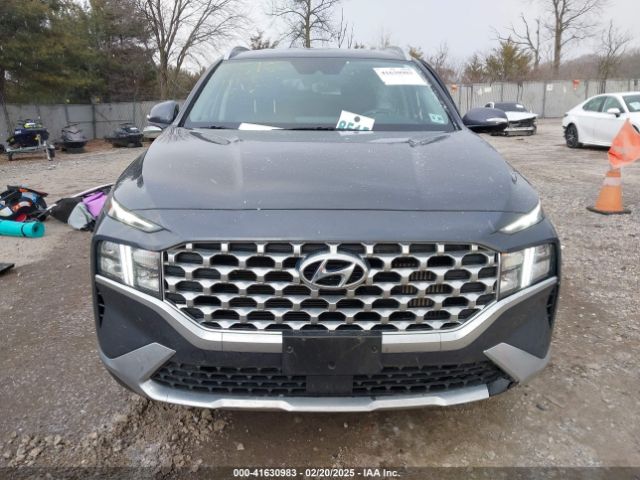KM8S2DA13MU013627 Hyundai Santa Fe Hybrid Blue