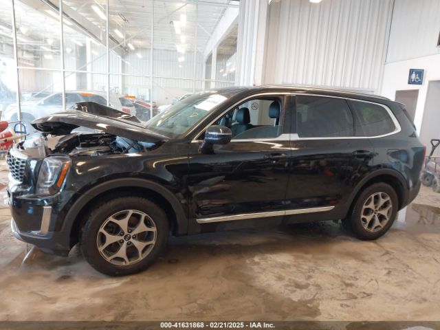 5XYP34HC7LG038576 KIA Telluride Ex