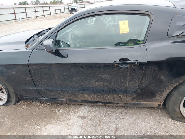 Ford Mustang V6 2014 1ZVBP8AM9E5250123 Image 13
