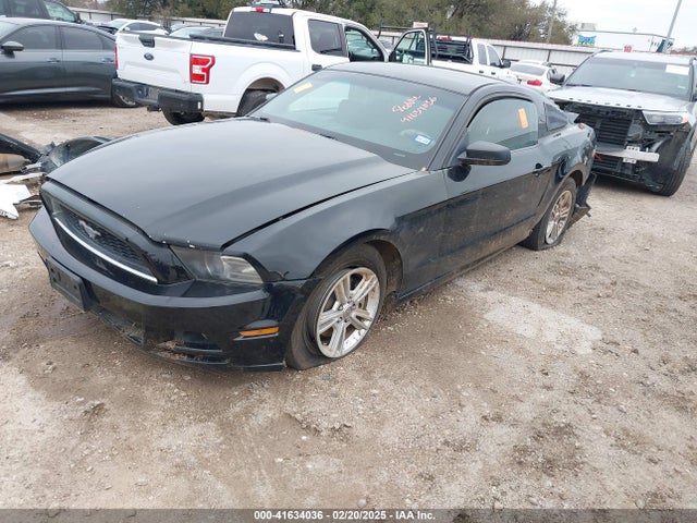 Ford Mustang V6 2014 1ZVBP8AM9E5250123 Image 2