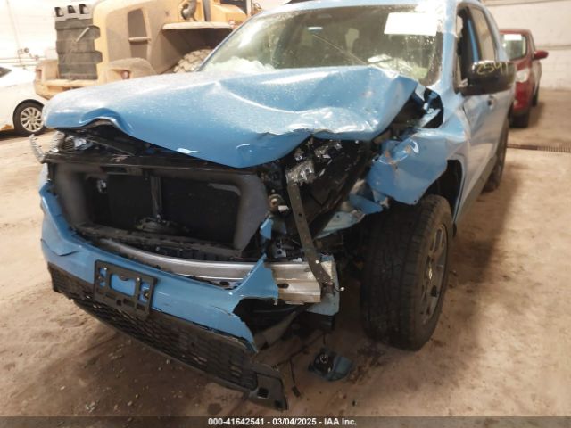 5FNYG1H65SB035084 Honda Pilot Trailsport