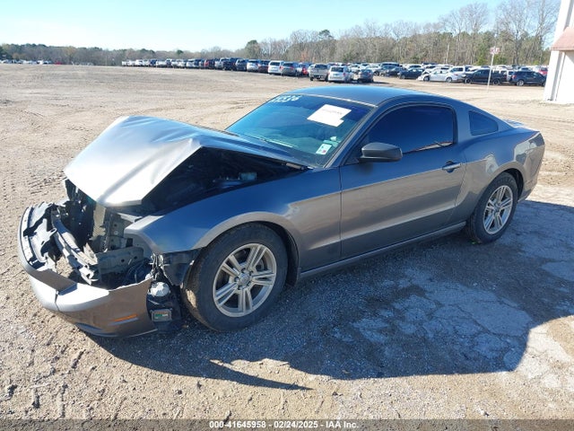 1ZVBP8AM8E5308531 Ford Mustang V6