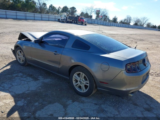 1ZVBP8AM8E5308531 Ford Mustang V6