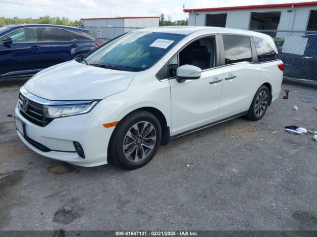 2022 HONDA ODYSSEY 5FNRL6H72NB021542 Photo 1