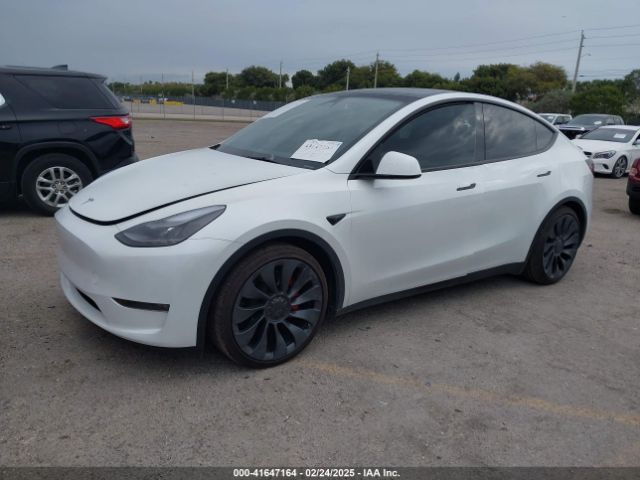 2024 TESLA MODEL Y 7SAYGDEF3RA317028 Photo 1