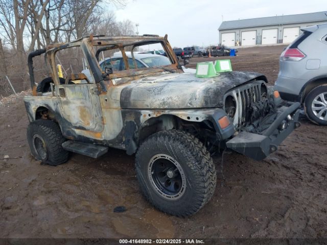 2003 JEEP WRANGLER 1J4FA49S93P374406
