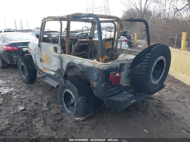 2003 JEEP WRANGLER 1J4FA49S93P374406 Photo 2