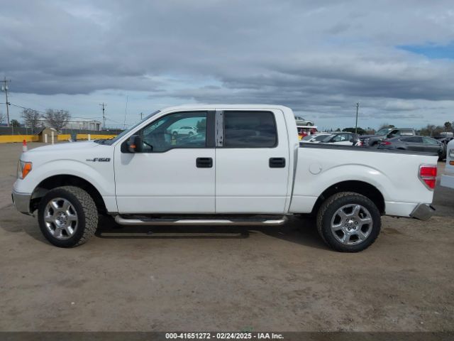 1FTFW1CFXEFB87878 Ford F-150 Xlt