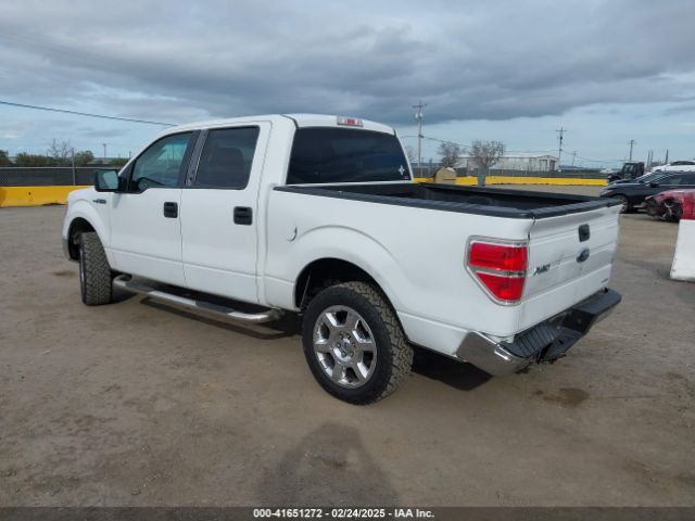 1FTFW1CFXEFB87878 Ford F-150 Xlt