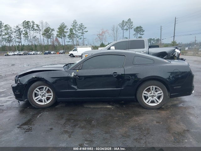 Ford Mustang V6 2014 1ZVBP8AM4E5329005 Image 15