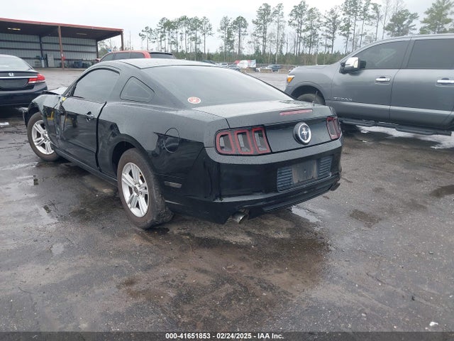 Ford Mustang V6 2014 1ZVBP8AM4E5329005 Image 3
