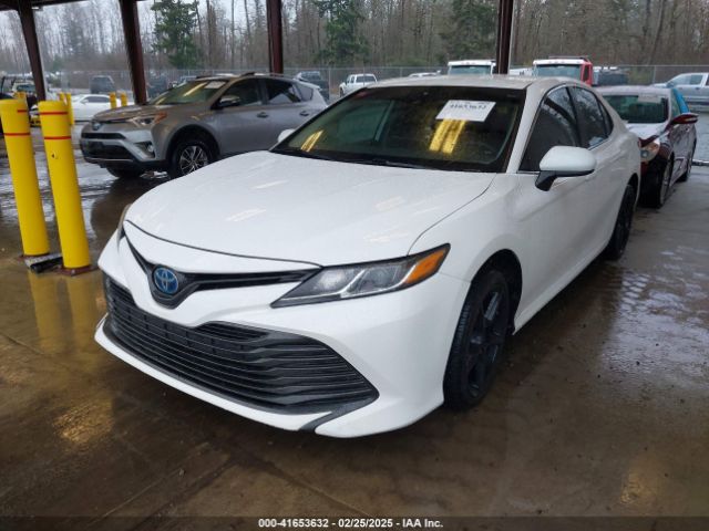4T1C31AK5LU528748 Toyota Camry Le Hybrid
