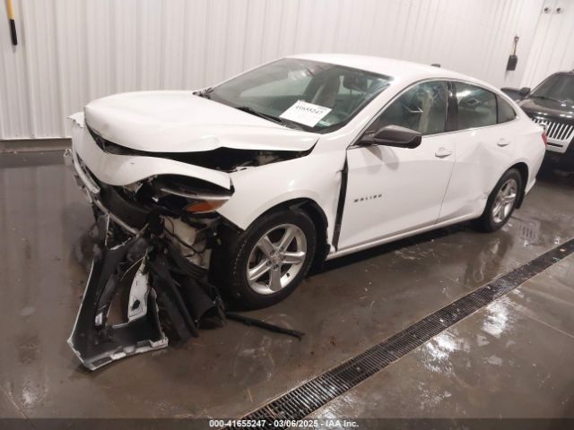 1G1ZB5ST7KF201828 Chevrolet Malibu 1ls