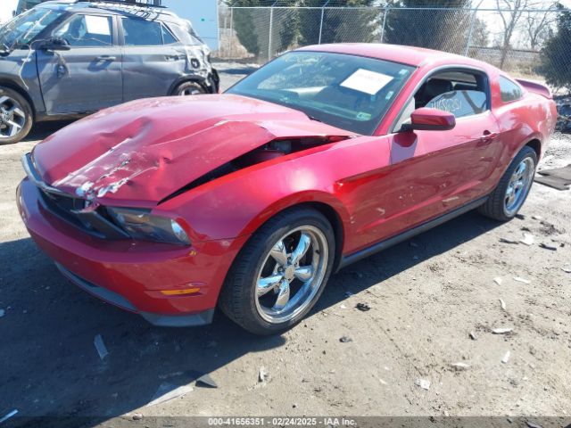 2010 FORD MUSTANG 1ZVBP8CH0A5133900 Photo 1