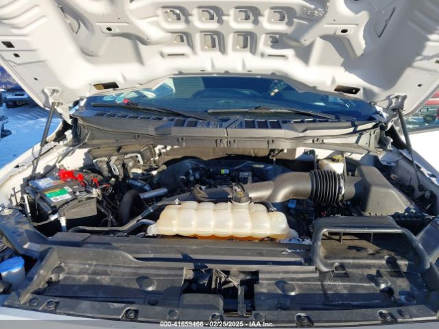 1FTEW1EP2MKD11617 Ford F-150 Xl
