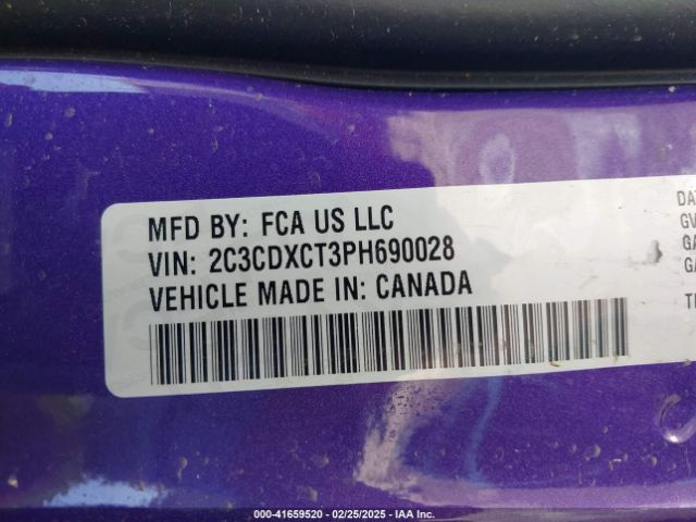 2C3CDXCT3PH690028 Dodge CHARGER R/T