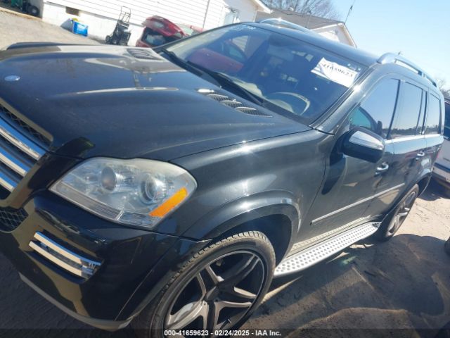 2010 MERCEDES-BENZ GL 550 4JGBF8GE0AA569509 Photo 1